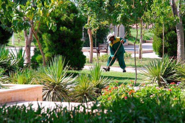 باغبان فضای سبز