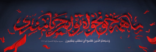 تصویر سربرگ نمایه‌ی ‌محمدعلی امین (فالو=فالو)‌