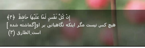 تصویر سربرگ نمایه‌ی ‌نسیم کاهیرده‌