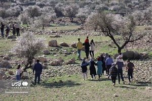 روستای الیف در شهر کمارج کازرون