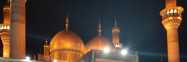 تصویر سربرگ نمایه‌ی ‌حسام الدین برومند‌
