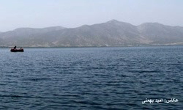 زریوار