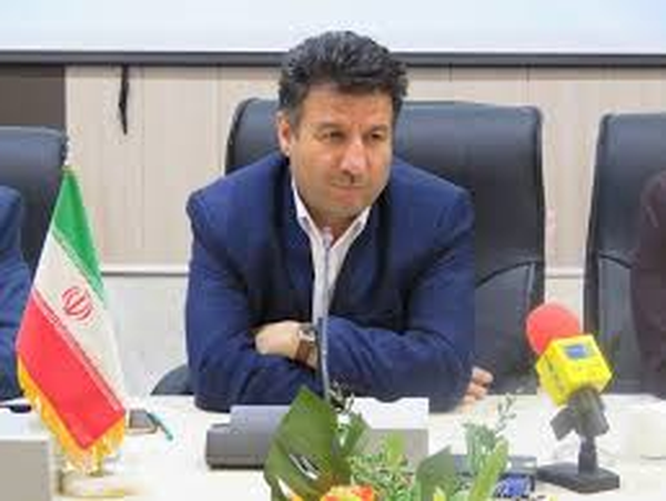 ایرج شجاعی