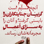 تصویر نمایه‌ی ‌نرگس سادات حسینی‌
