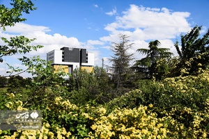 آسمان ابری تهران