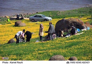 گردشگران در اطراف دریاچه نئور 