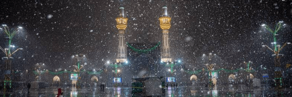 تصویر سربرگ نمایه‌ی ‌علی رضا نادی‌
