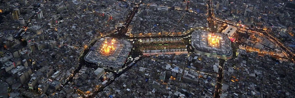 تصویر سربرگ نمایه‌ی ‌مهدی سلحشور‌