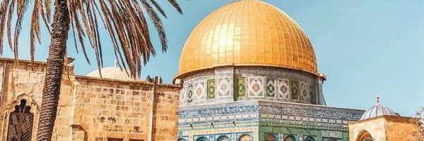 تصویر سربرگ نمایه‌ی ‌علی‌