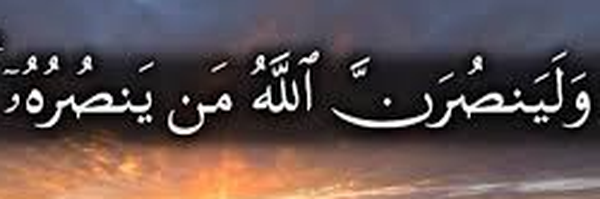 تصویر سربرگ نمایه‌ی ‌داود فاضل فلاورجانی‌