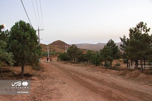 پارک جنگلی آرپادره سی