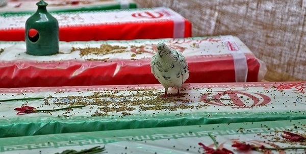 کنگره شهدا