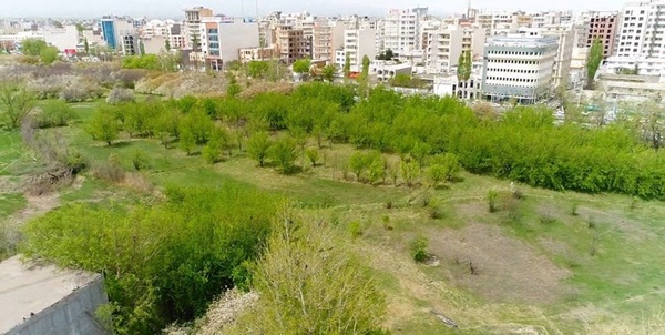 باغ شریعت