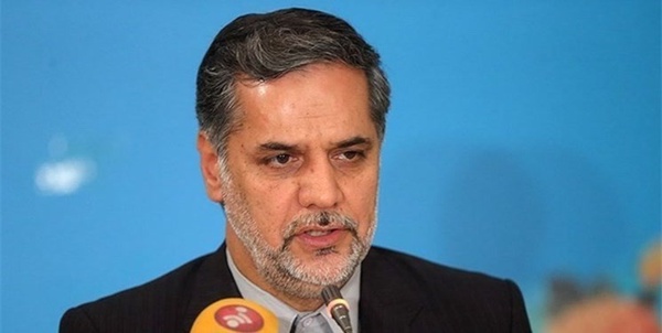 سید حسین نقوی حسینی 