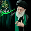 تصویر نمایه‌ی ‌محمد صادق رضوی‌