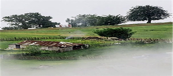 طبیعت جاده اسالم به خلخال