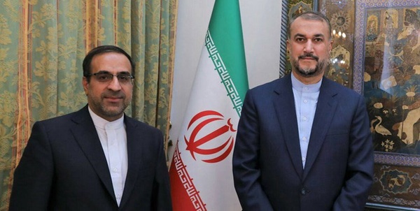 امیرعبداللهیان و ایرج الهی سفیر ایران در هند