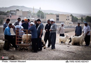 بازار خرید و فروش دام در آبدانان