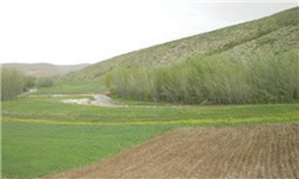 اراضی ملی