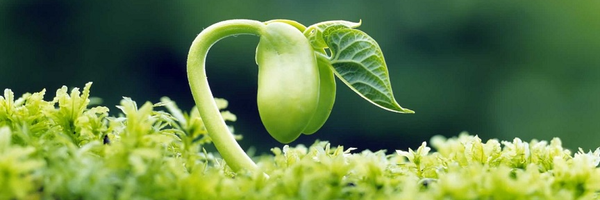 تصویر سربرگ نمایه‌ی ‌یوسف عابدی‌