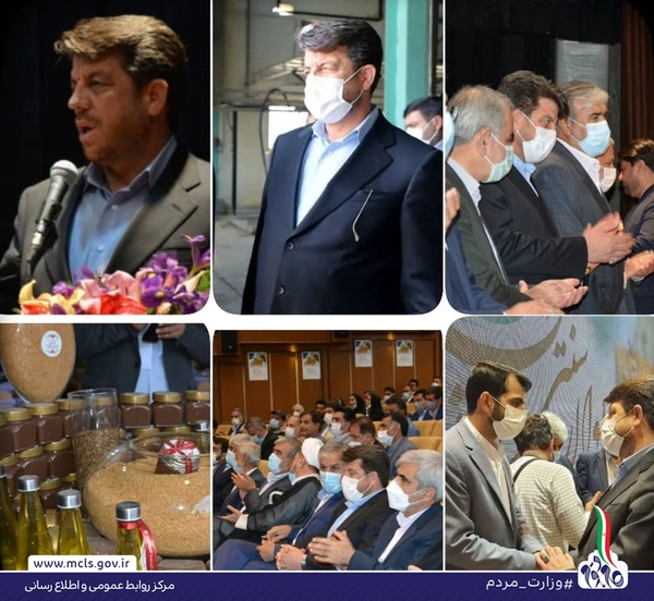 رعیتی فرد