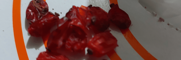 تصویر سربرگ نمایه‌ی کاربر