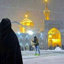 تصویر نمایه‌ی ‌مریم گلزاد‌