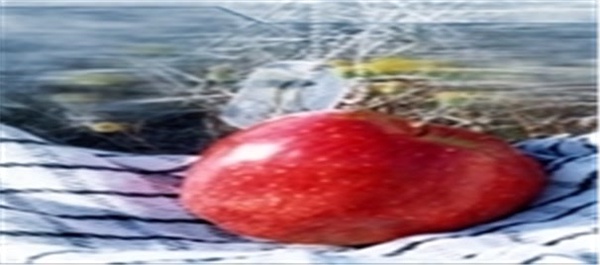 شهید کریمی