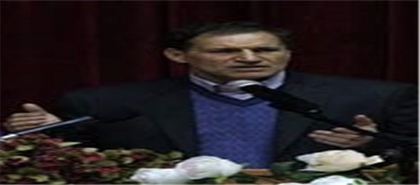 محبی